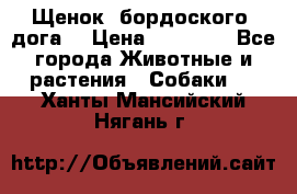 Щенок  бордоского  дога. › Цена ­ 60 000 - Все города Животные и растения » Собаки   . Ханты-Мансийский,Нягань г.